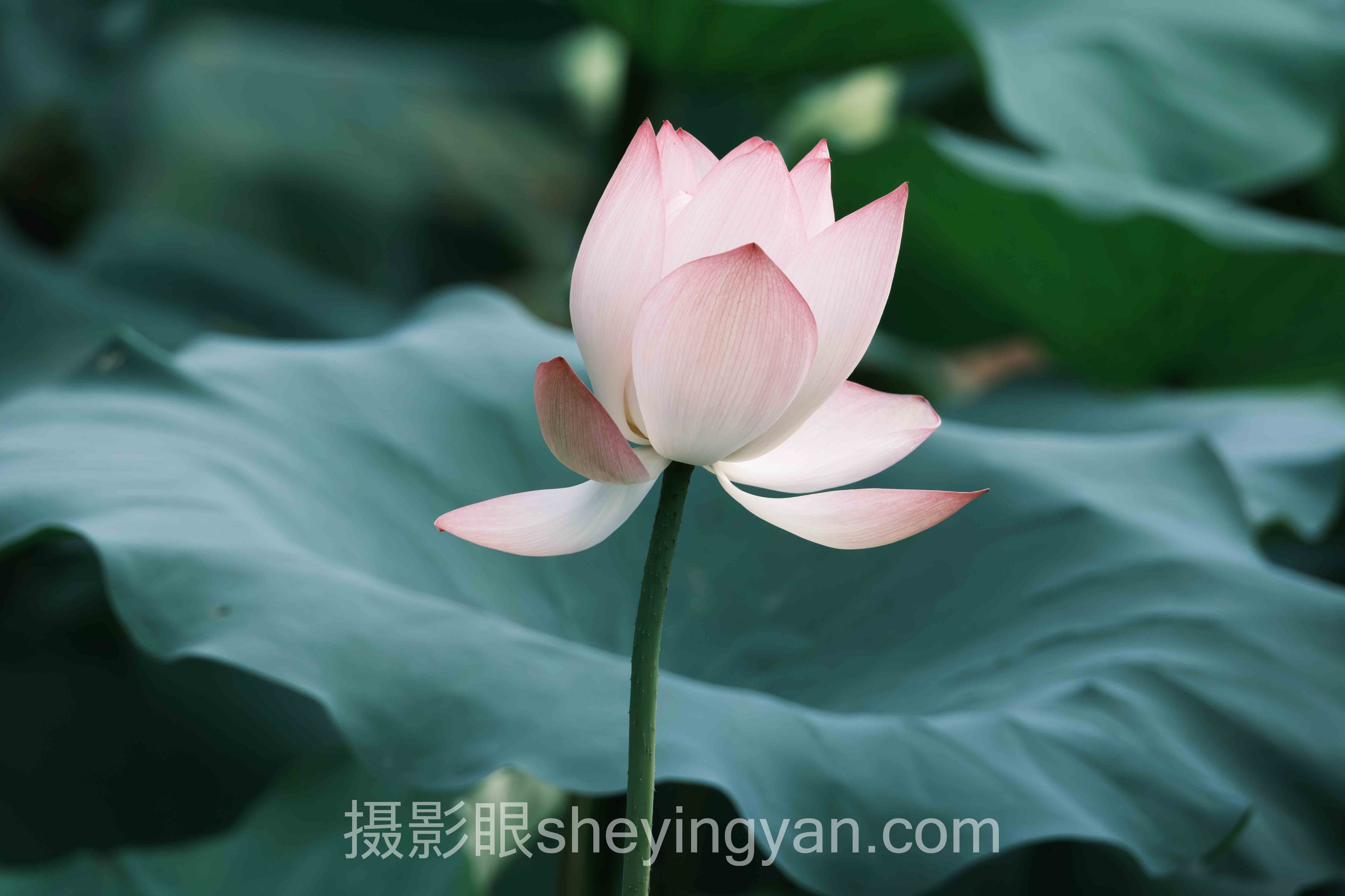 摄影进步课程真能让你脱胎换骨吗？