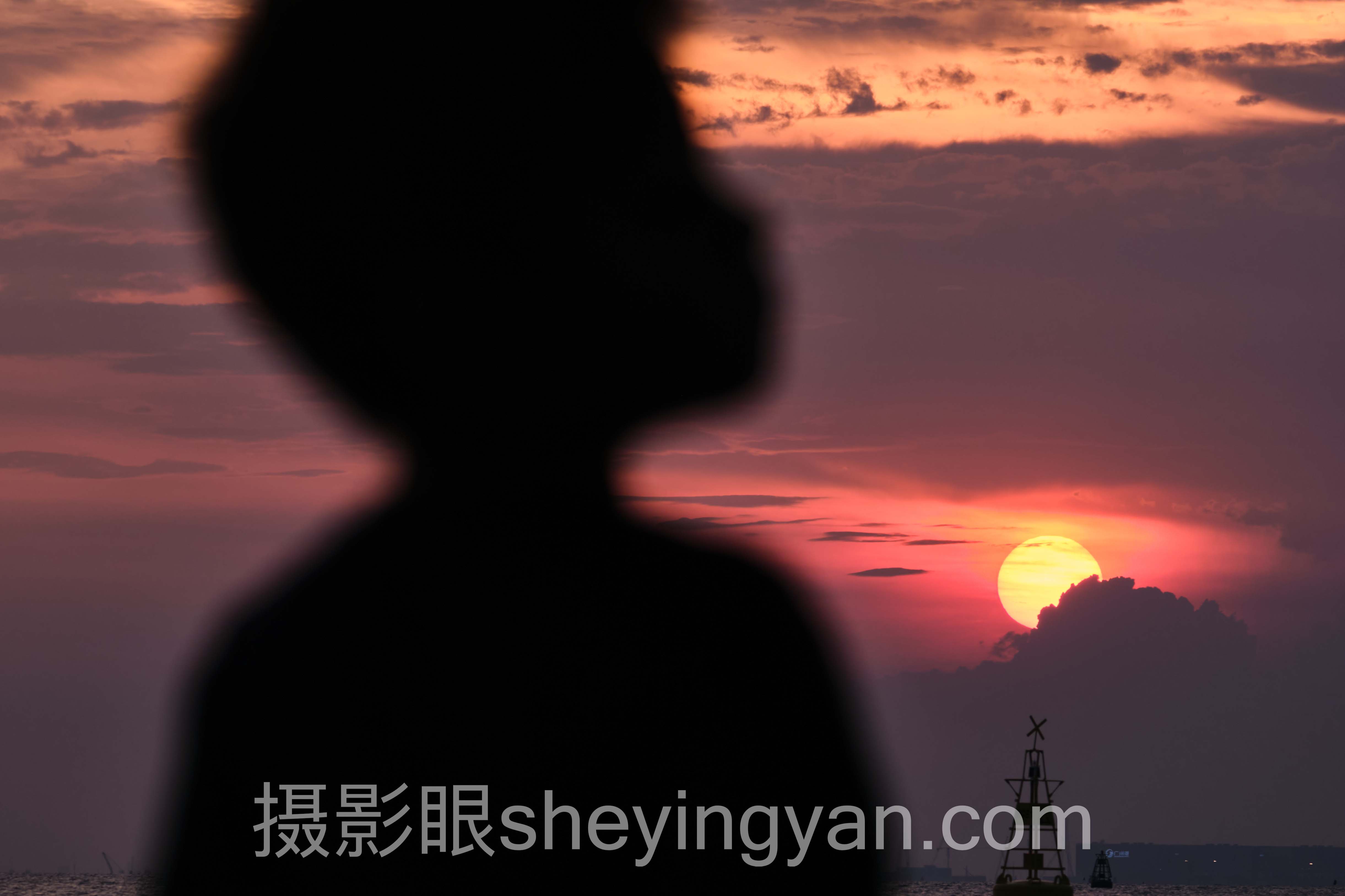 数据说话：2025提高摄影认知线上课最新发展现状