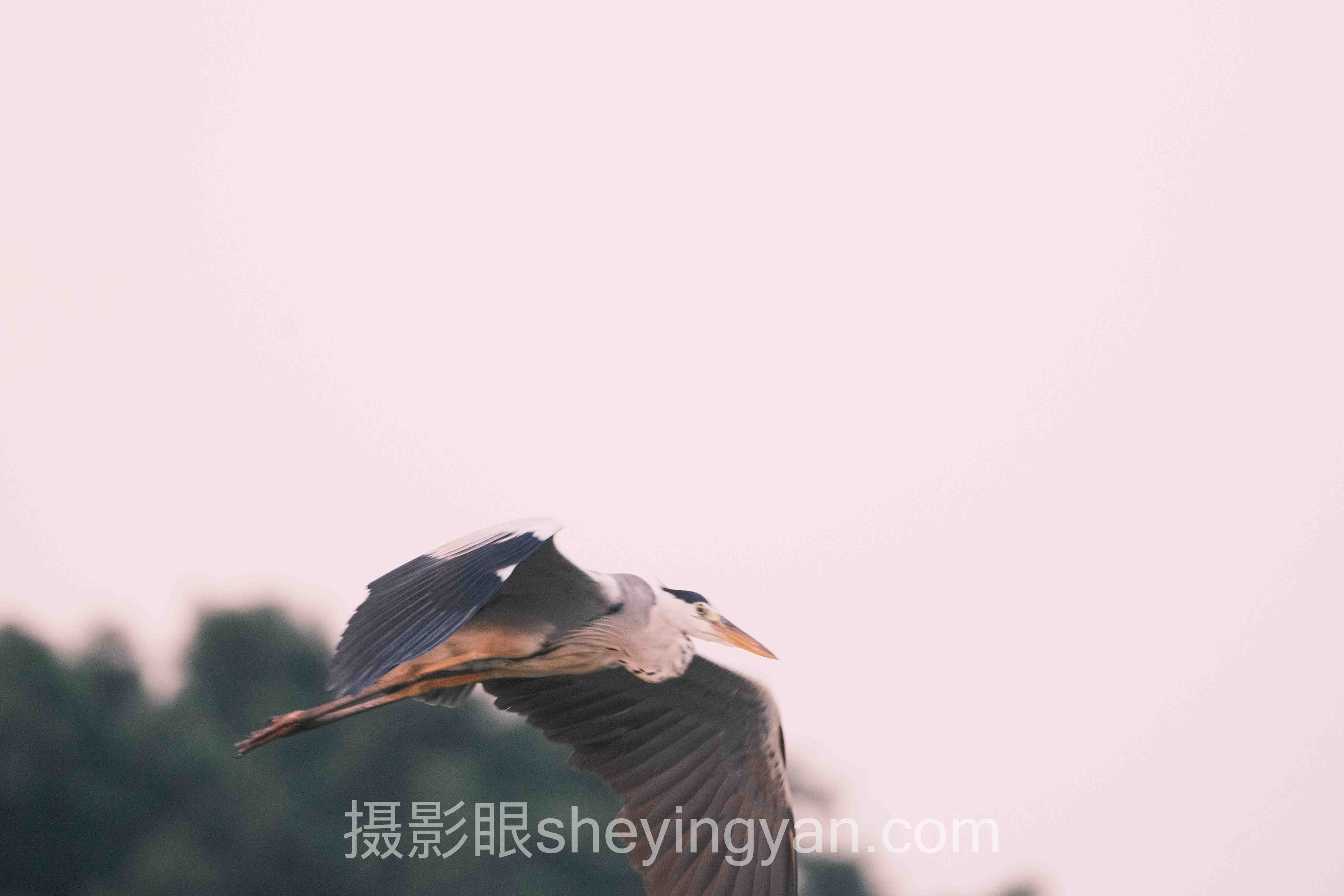 摄影学习需要什么设备？入门真相和你想的不一样