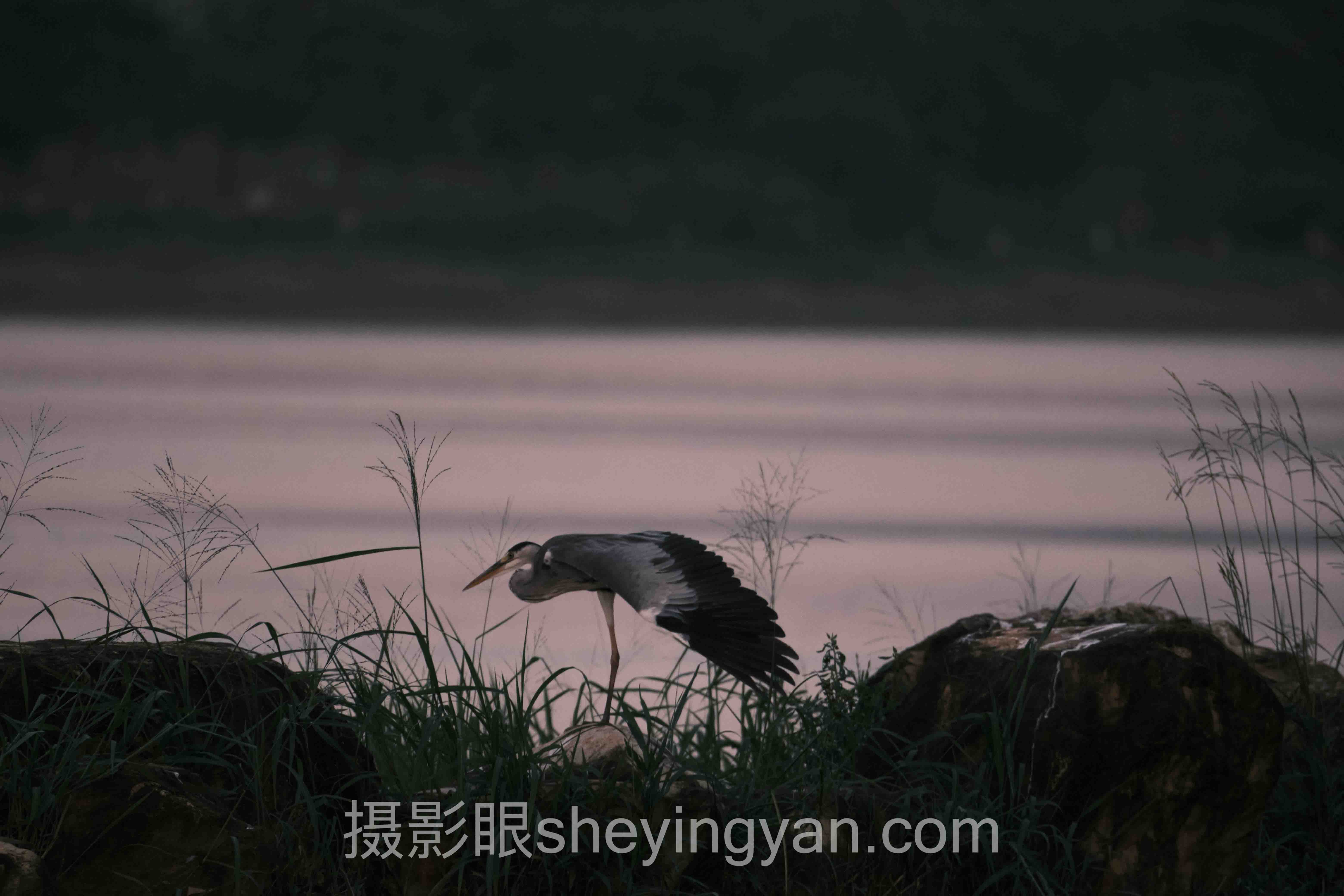摄影眼官方网站评价十人谈：AI如何重构照片点评逻辑