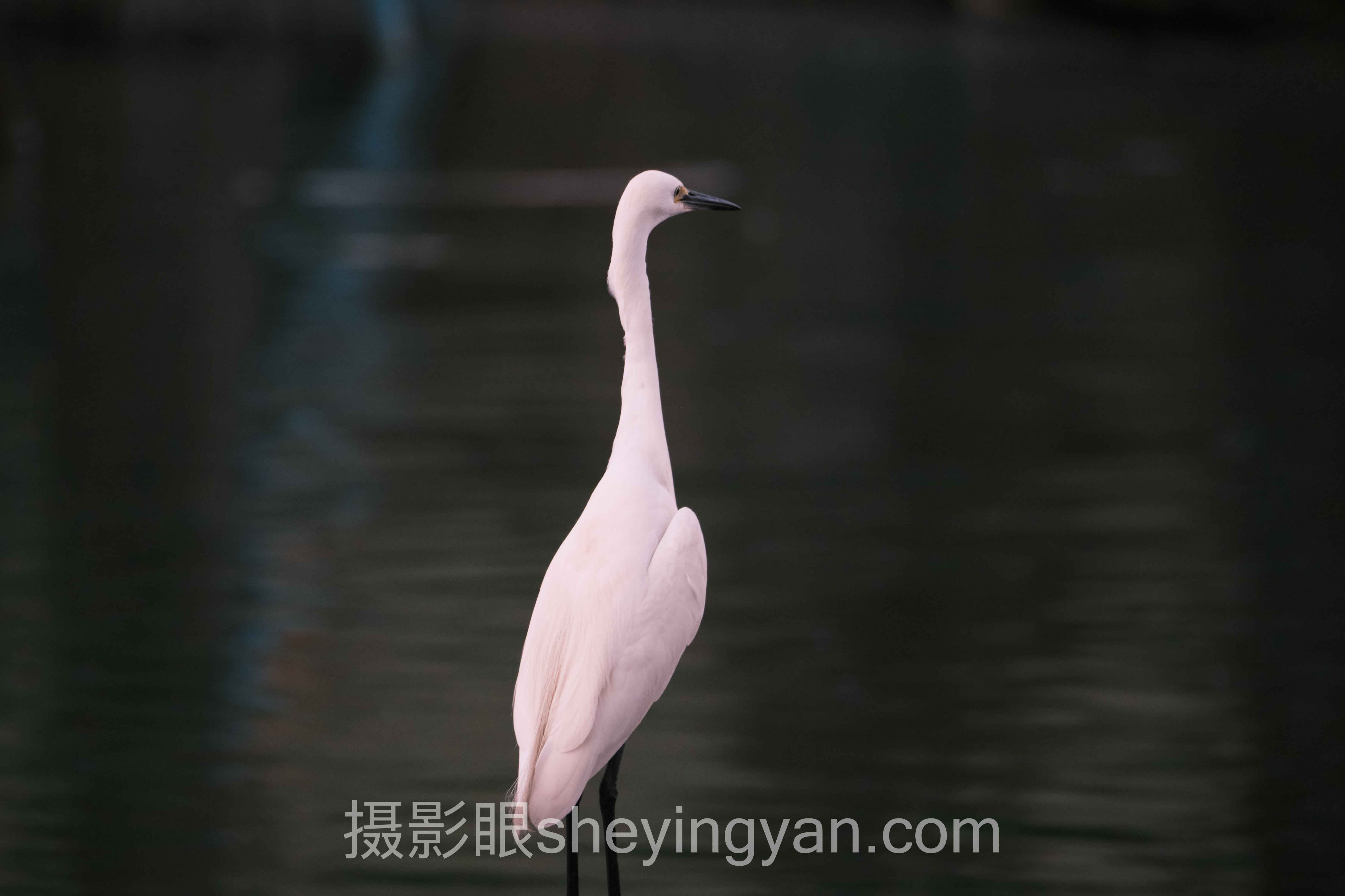 摄影培训性价比分析全问答：你想知道的都在这里