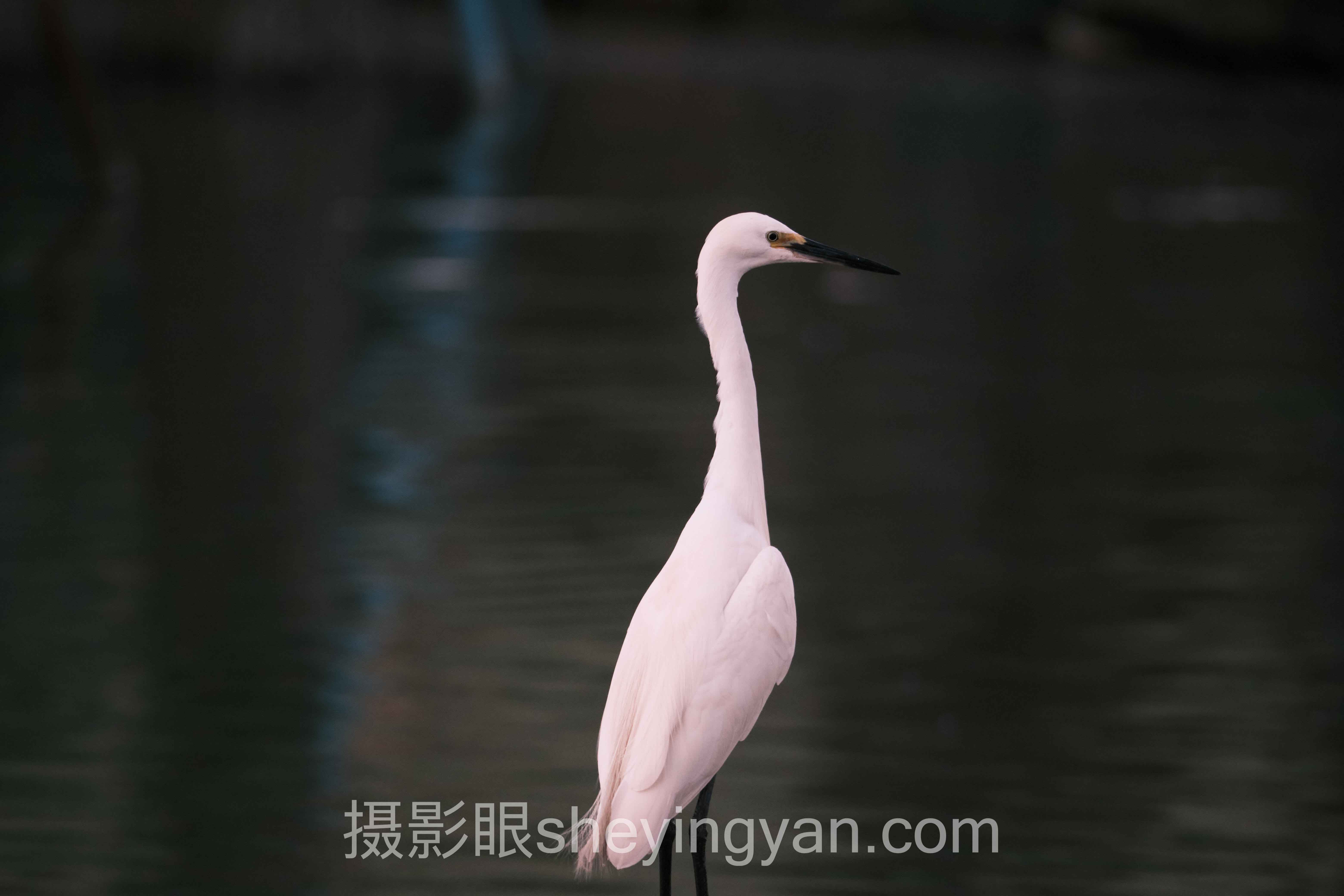 提升方法