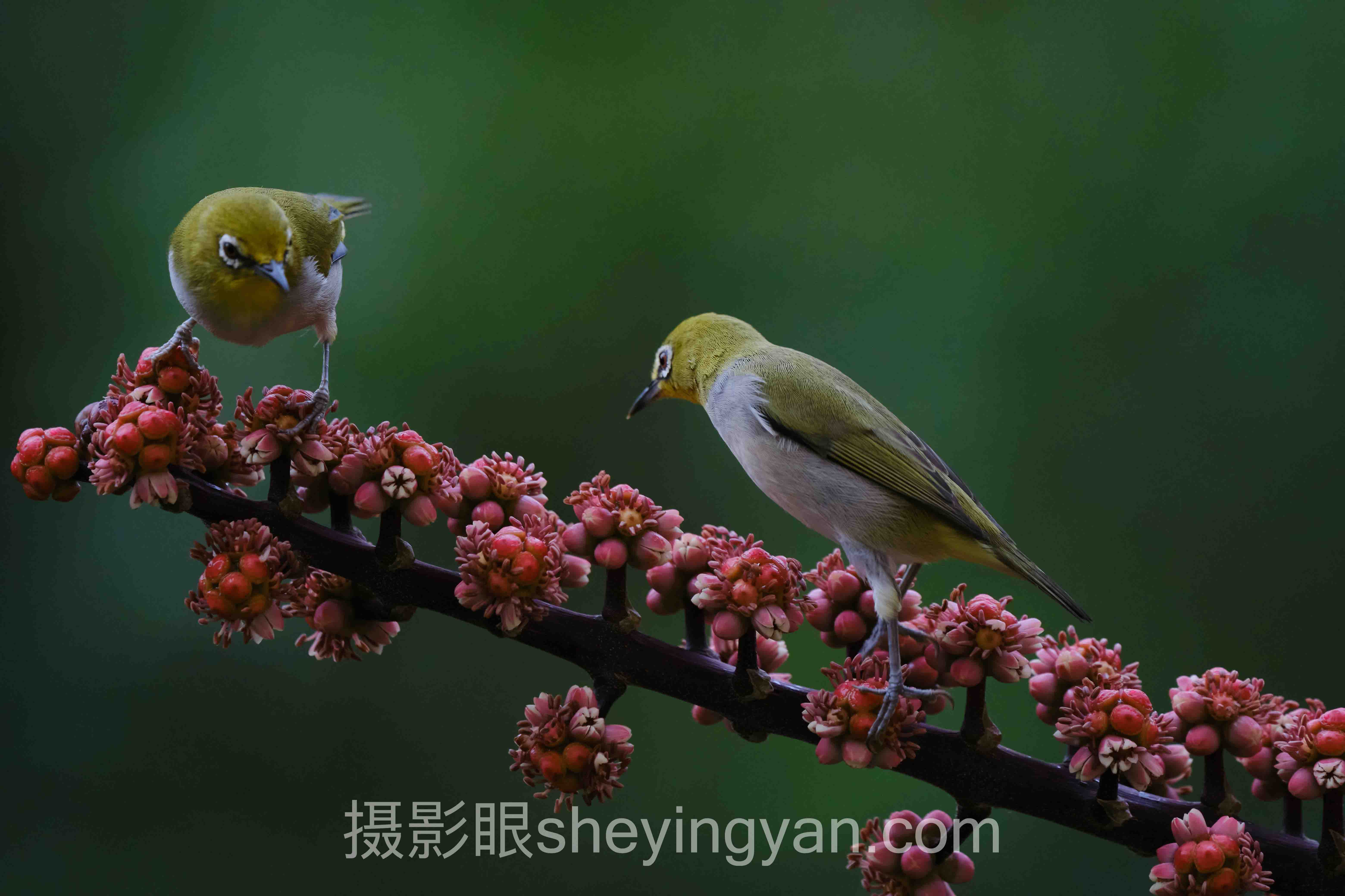 相机拍照培训班多少钱全景解读：问题根源与破局之道